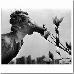 Mini-reportaje de SQM en la 2 de TVE Catalunya .