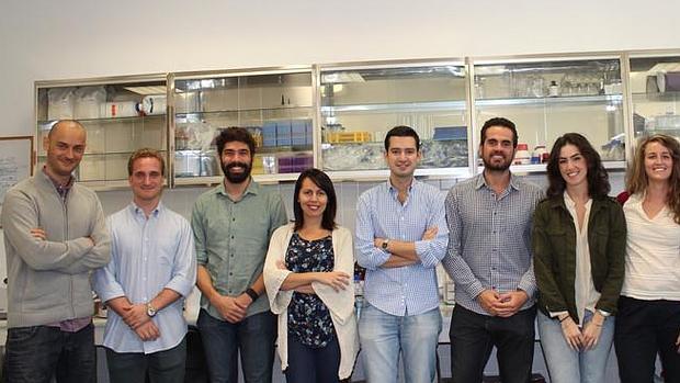 UNA MUTACIÓN MITOCONDRIAL PUEDE SER LA CAUSA DE LA FIBROMIALGIA HEREDITARIA