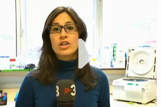 La noticia en el Tele Notícies Migdia de TV3 del 12 de Abril