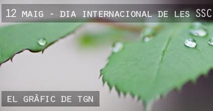 12 de Maig. Dia internacional de les SSC